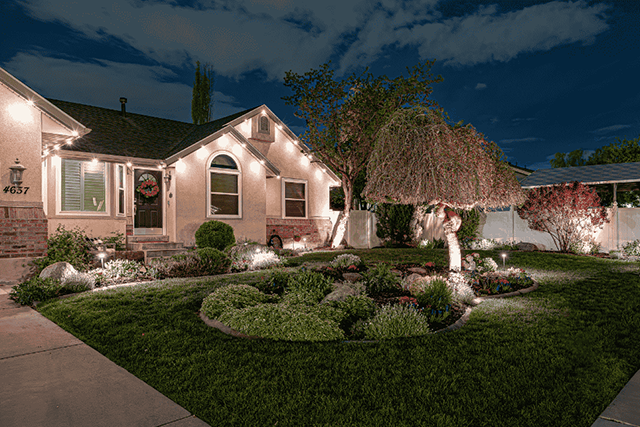 accent lighting landscape